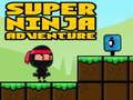 Super Adventure Ninja 
