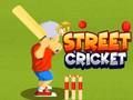 Street Cricket 