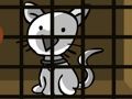 White cat rescue 