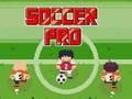 Professional football 