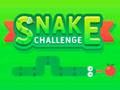 Snake Challenge 