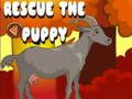 Rescue The Puppy 