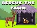 Rescue the fawn 