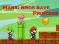 Mario Bros Save Princess 