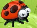 Ladybug Slide 