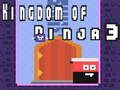 Kingdom of Ninja 3 