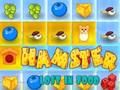 Hamster Lost In Food 
