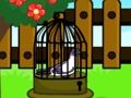 Dove Escape 
