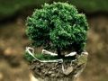 Environment Jigsaw 