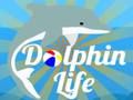 Dolphin Life Dolphin Life