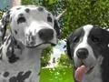 Dog Simulator 3d 