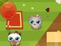 Pet Round-Up 