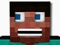 Block Craft Survival 
