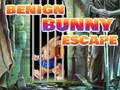 Benign Bunny Escape 
