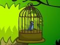 Cage Bird Escape 