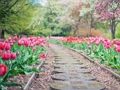 Pathway Jigsaw 