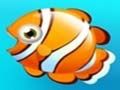 Fish Resort 