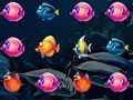 Fish World 
