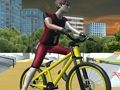 Extreme BMX Freestyle 3D 