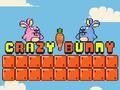 Crazy Bunny 