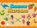Shadow Matching 