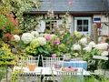 Flower Garden 