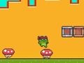 Ninja Frog Adventure 