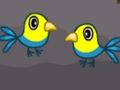 Cute Parrot Escape 