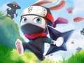 Ninja Rabbit 