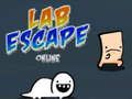Lab Escape Online 