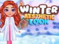 Winter Aesthetic Look 