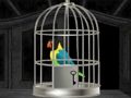Parrots Escape 