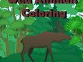 Wild Animals Coloring 