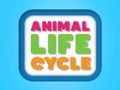 Animal Life Cycle 