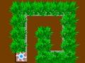 Cut Grass 