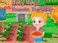 Baby Hazel. Tomato farming 