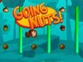 Going Nuts! 