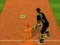 Cricket Batter Challenge 