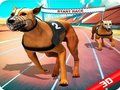 Crazy Dog Race 