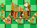 Shiba rescue : dogs and puppies 