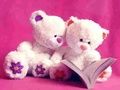 Cute Teddy Bears Slide Cute Teddy Bears Slide