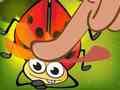 Insect Crush 