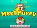 Meet Puppy 