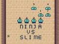 Ninja vs Slime 
