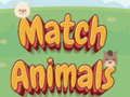 Match Animals 