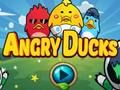 Angry Ducks 
