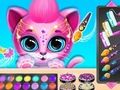 Pet Haircut Beauty Salon Pet Haircut Beauty Salon
