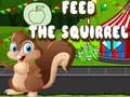 Feed the squirrel 