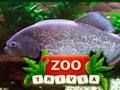 ZOO Trivia 