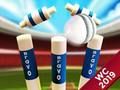 Mini Cricket: Ground Championship World Cup 2019 
